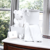 The Cuddle Baby Gift Hamper
