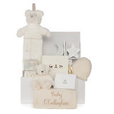 The Baby Shower Hamper