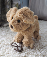 Dexter Dog Pull Along