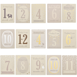 Bambino Little Star Baby Milestone Cards with foil