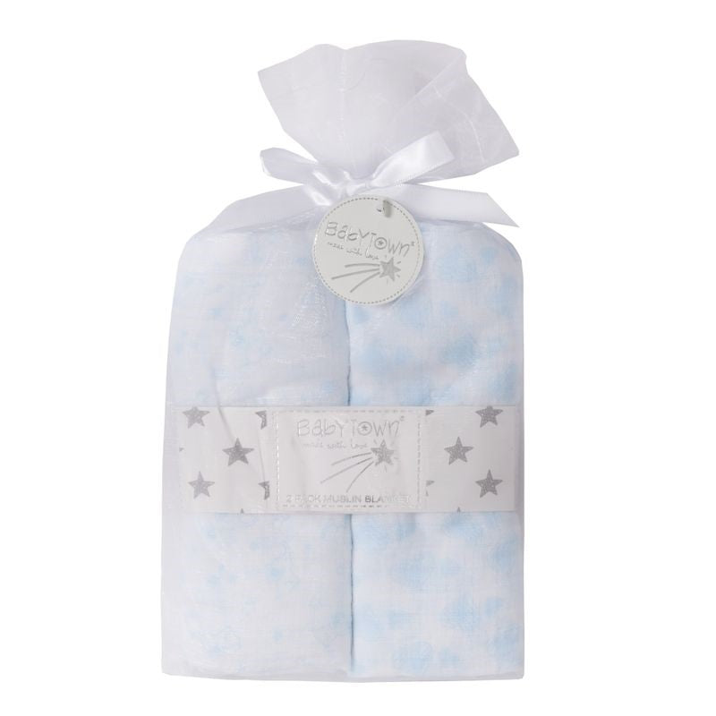 Welcome Twins Celebration Hamper