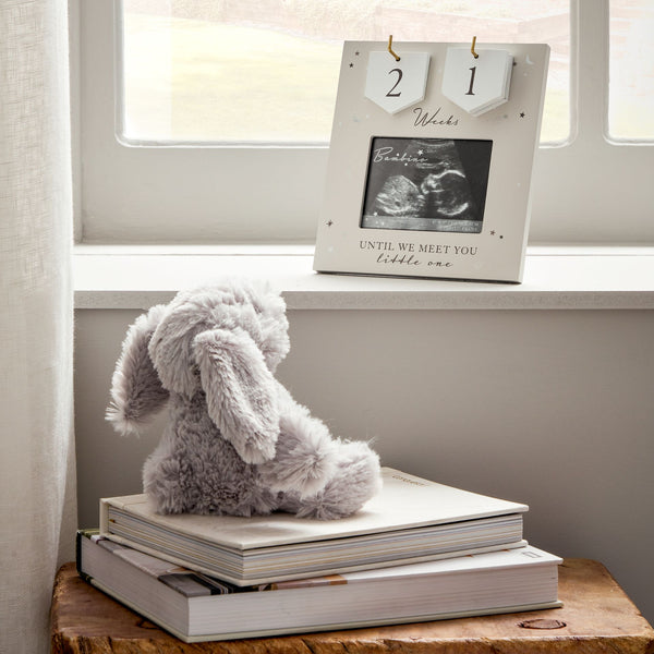 Bambino Arrival Countdown Frame CG1569