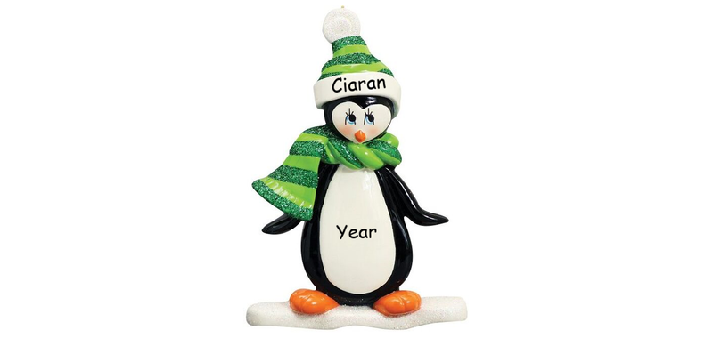 Penguin on Ice Personalised Ornament-(977)